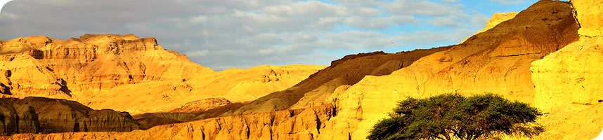 кондиционеры abion