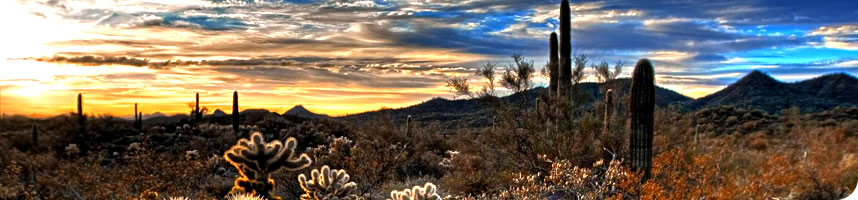 кондиционеры Abion